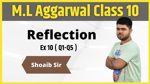 Class 10 | M.L  Aggarwal | Reflection | Ex 10 | Part 01