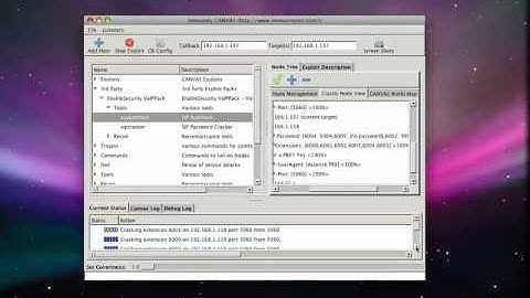 Demonstration of sipautohack