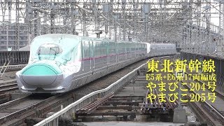 東北新幹線E5系+E6系 やまびこ号2本 大宮駅 190211 HD 1080p