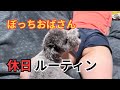 【ルーティン】ぼっちおばさんの寂しい休日ルーティンLonely Auntie's Solitary Holiday Routine