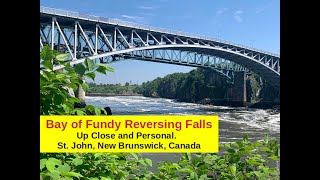 Bay of Fundy/St. John River Reversing Falls Phenomenon (Side by Side View)