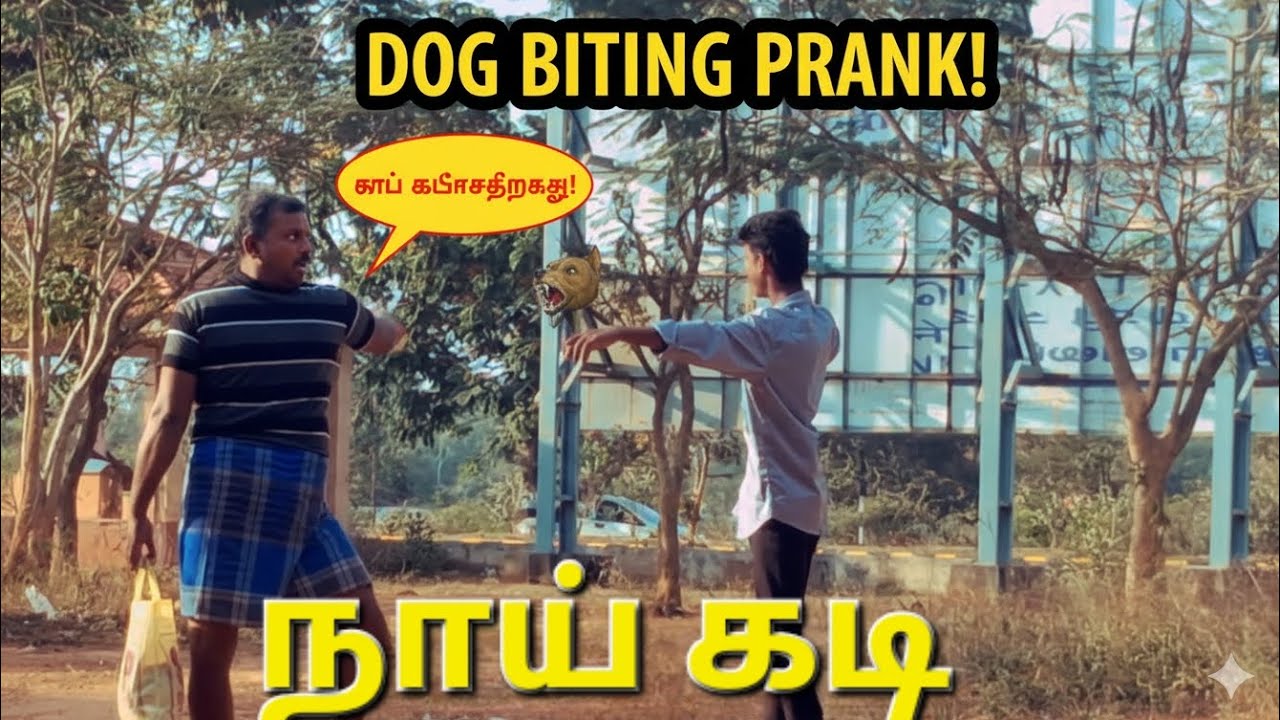 Naii kadi prank tamil Neyveli 