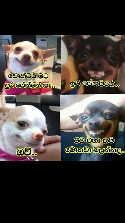 තව මොනව බලන්නද...🤣🤣🤣