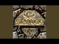 Miniature de la vidéo de la chanson Shatter (Skynet Remix)