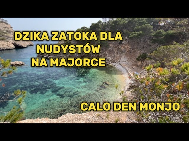 23-haftada jinsiy aloqa pozitsiyalari