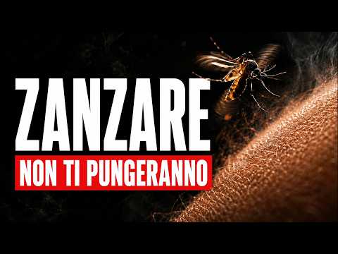 Video Come difendersi dalle zanzare: cosa funziona davvero?