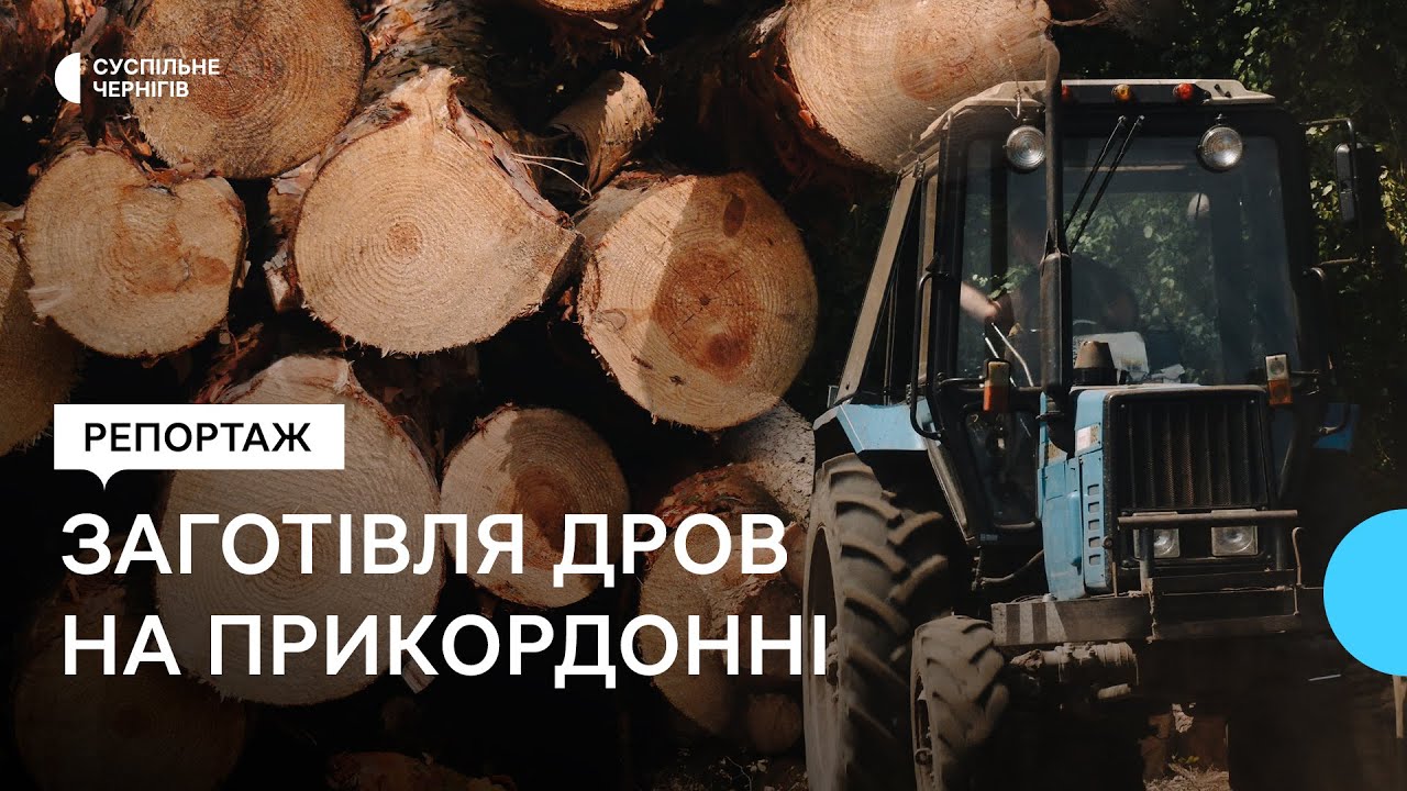 Допомога від держави та від фондів: чи отримають на прикордонні Чернігівщини безплатні дрова