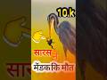 सारस ने मेंडक 🐸कि मौत kyu Kiya  #viral #animals #pets video #reels  #janvar 23 march 2026..
