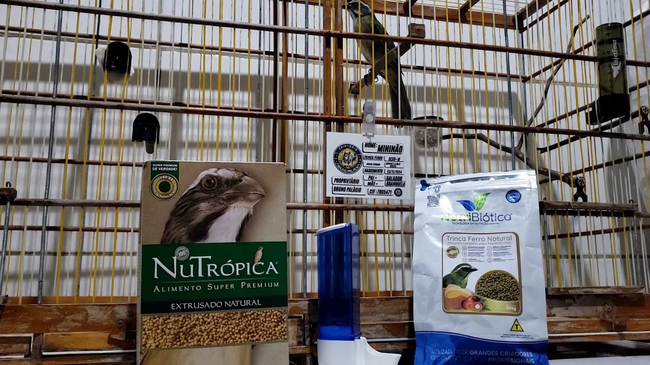 Vamos Fazer a Transição Da Nutropica Para Nutribiótica Trinca Ferro Natural @nutribioticaoficial ❤👍🏻