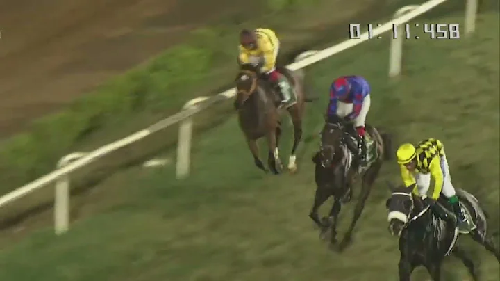 MAJORELLA BLUE wins The Sir Charles Forbes Trophy