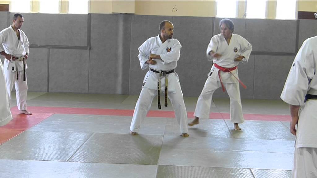 Oshukai Kenyu Chinen karaté Beaugency 2014