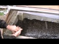 How to Start Seeds in a Cold Frame - Fun in the Snow :) How to Start Seeds in a Cold Frame - Fun in the Snow :)