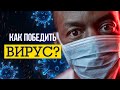 Вирусы-милость или наказание?