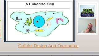 Cellular Design