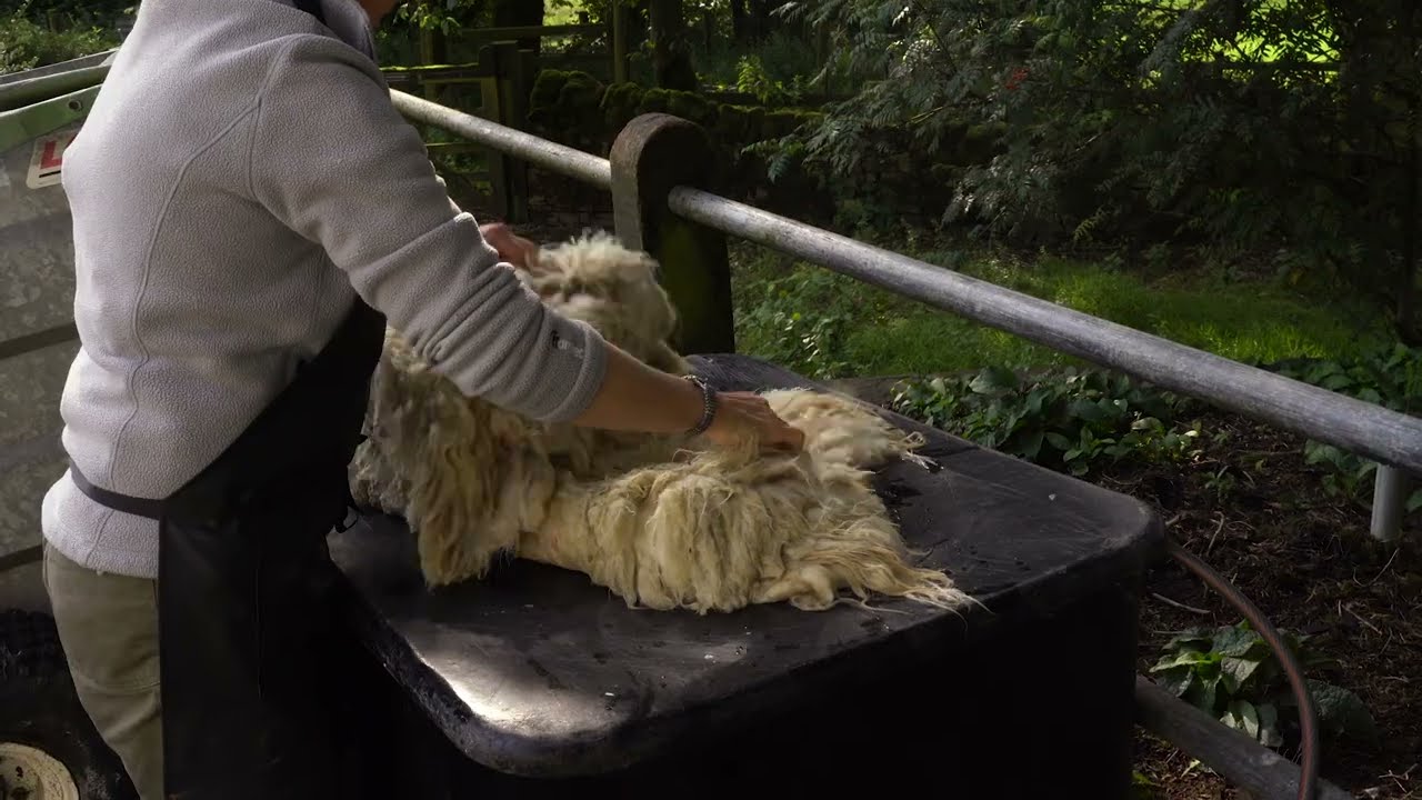 Cruelty-free wool rugs: the ancient technique of wet felting | Crafted for Living