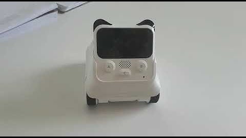 Codey Rocky singing "A whole new world"/ ROBOTS ACTIVITY #rict1920