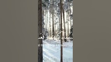 سورة الغاشية بصوت القارئ عبدالرحمن مسعد ارح سمعك #القرآن_الكريم #عبدالرحمن_مسعد