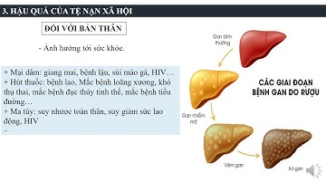 BÀI 10 NGUYÊN NHÂN HẬU QUẢ TỆ NẠN XÃ HỘI