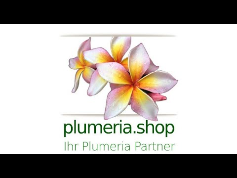 Video: Wie Man Plumeria Aus Samen Anbaut