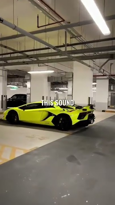 Dropped Outta School Now We Dumb Rich Dropped outta school now we dumb rich - YouTube