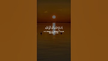 أرح مسمعك 24ثانيه |سوره الجاثيه