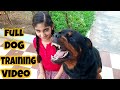 dog showing all training skills |well trained dog ||dog protection skill