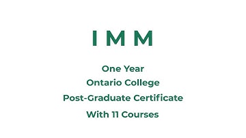 The Motion Graphics Promotional Video for Interactive Media Management Program