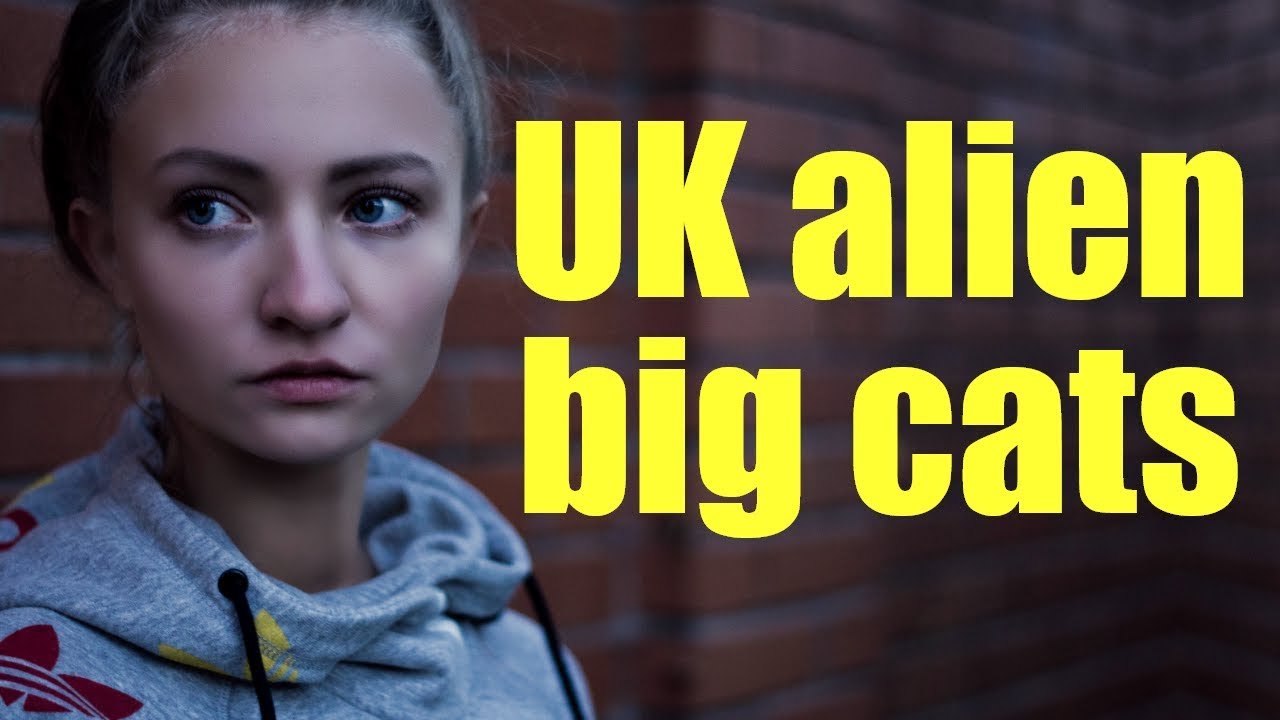 British Big Cats (Sightings)