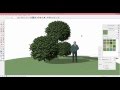 Как сделать растение в SketchUp из фотографии