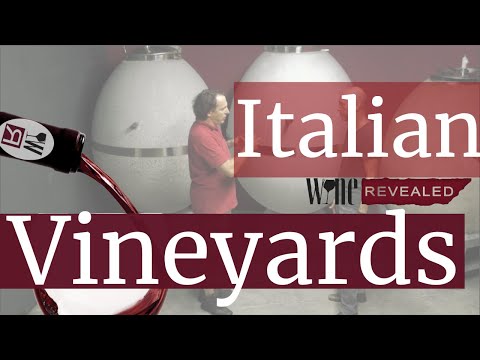 Video: Vin: i Italien är 19% av vingårdarna ekologiska