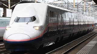 【Maxやまびこリバイバル！】E4系P82編成新幹線団体臨時列車盛岡行き小山駅通過