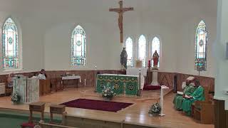 July 12, 2026  Sunday Mass