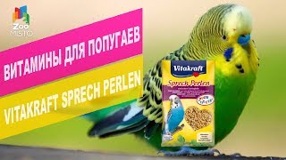 Витамины Vitakraft Sprech Perlen для волнистых попугаев | Обзор витамин Vitakraft Sprech Perlen Витамины Vitakraft Sprech Perlen для волнистых попугаев | Обзор витамин Vitakraft Sprech Perlen