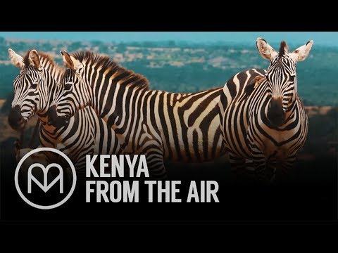 Video: Kenya Dall'aria - Matador Network