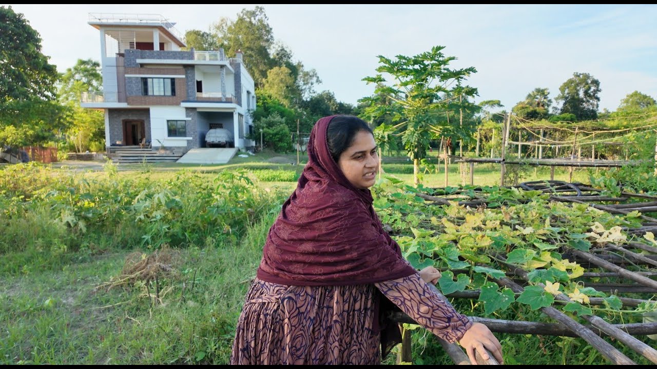 দিনে দুপুরে আমাদের এতো বড় ক্ষতি হয়ে গেল | Doyel Agro