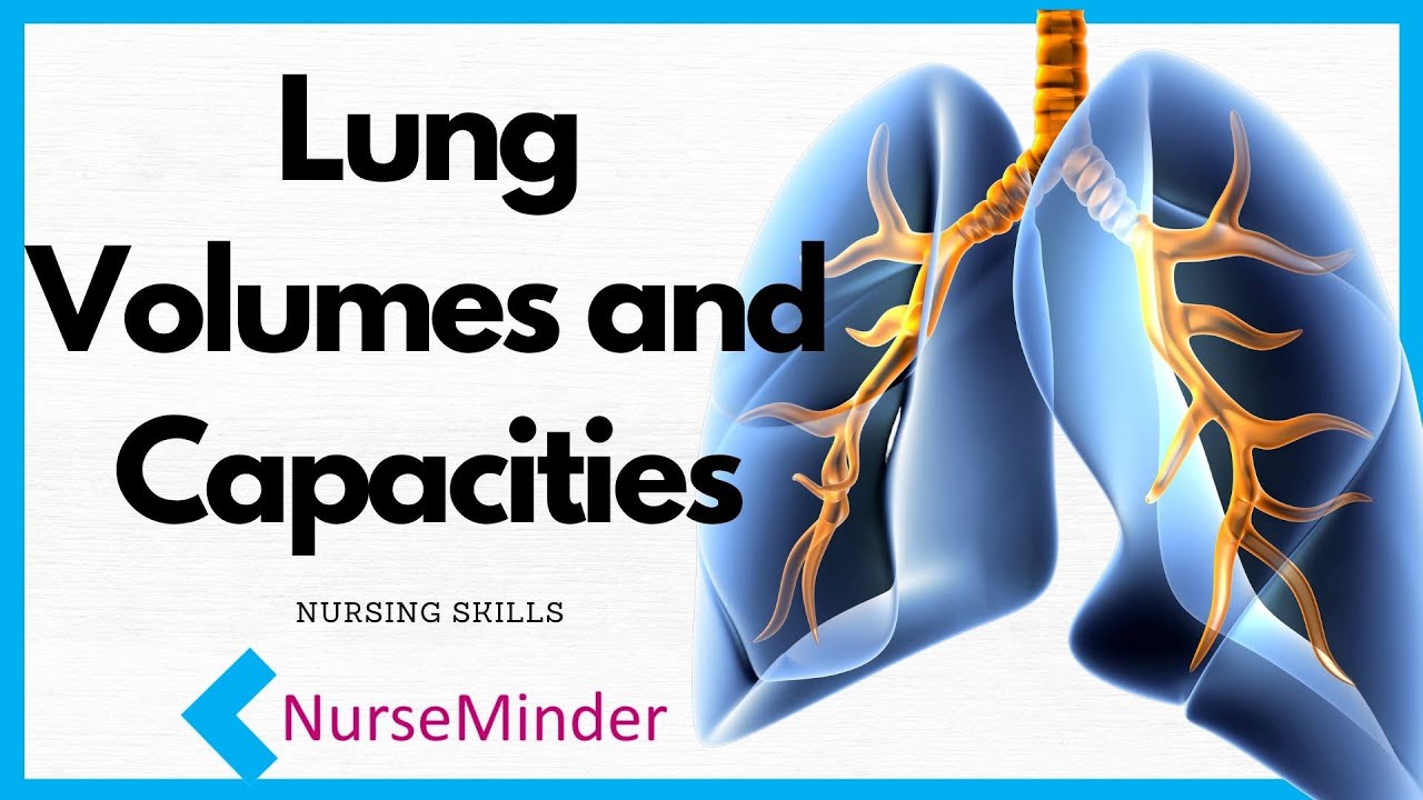 Pulmonary Volumes And Capacities Chart