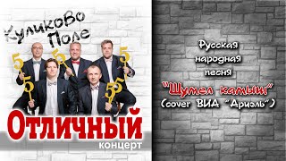 Русская народная песня &quot;Шумел камыш&quot; - Мужской вокальный ансамбль &quot;Куликово Поле&quot;