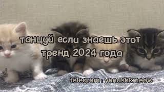 :       2024       2024 