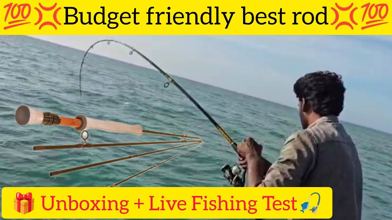 🎣Fishing Rod Unboxing Video| We caught some Sea fish🐟 and pond fish live strike video in this rod🎣