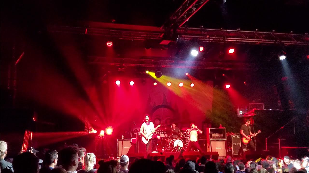 Senses Fail Rum Is for Drinking, Not for Burning YouTube