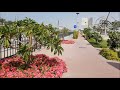 Капельный полив цветников. Дубаи, февраль 2018.
