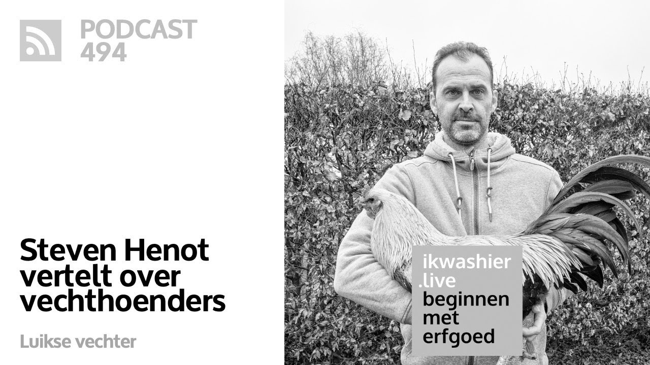 Vechthoenders zijn levend erfgoed - Steven Henot - Beginnen met erfgoed 494 in Linter