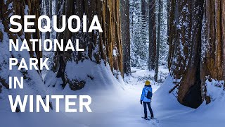 Visiting Sequoia National Park In Winter 2021 (4K)