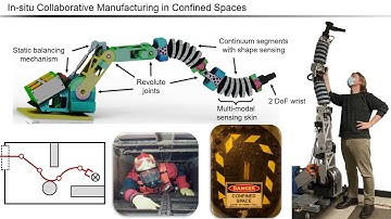 Dynamic Collision Detection for Continuum Robots