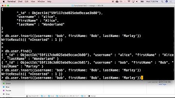 00805 intro to mongo as a mongodb client