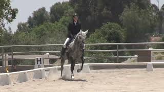 Stardust & Lillian Lowry - Training Level, Test 3 - ICC Early Summer Rated Show 2024