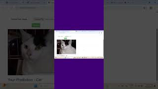 How to perform Image Classification #ytshorts #yt #ai #viral #viralvideo #python #classification
