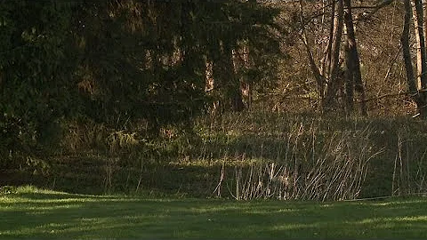 Tick season begins in Wisconsin