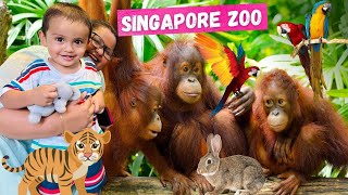 Family Fun Time @ Singapore Zoo | Malayalam Vlog | 30000 രൂപ മുടക്കി സിങ്കപ്പൂർ Zoo കാണാൻ പോകണോ?