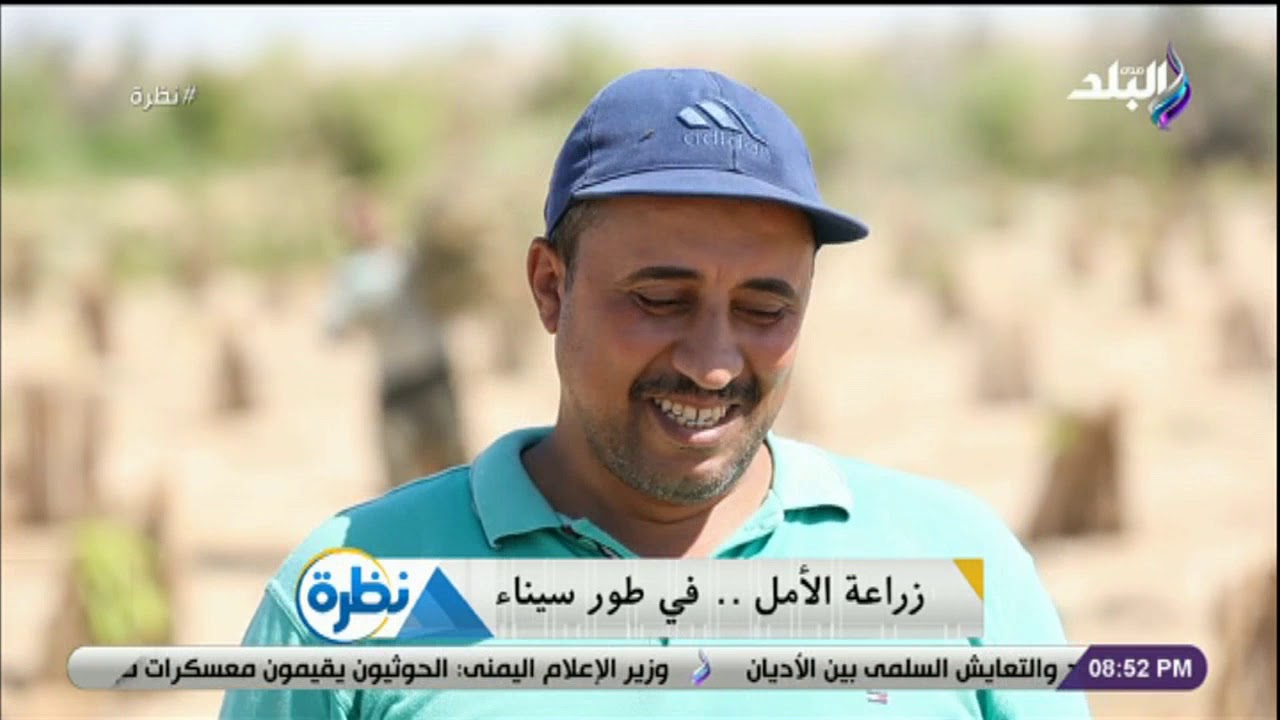 نظرة - مدير مزرعة يكشف عن أهم المحاصيل الزراعية في طور سيناء.. وما يميزها عن المناطق الأخرى